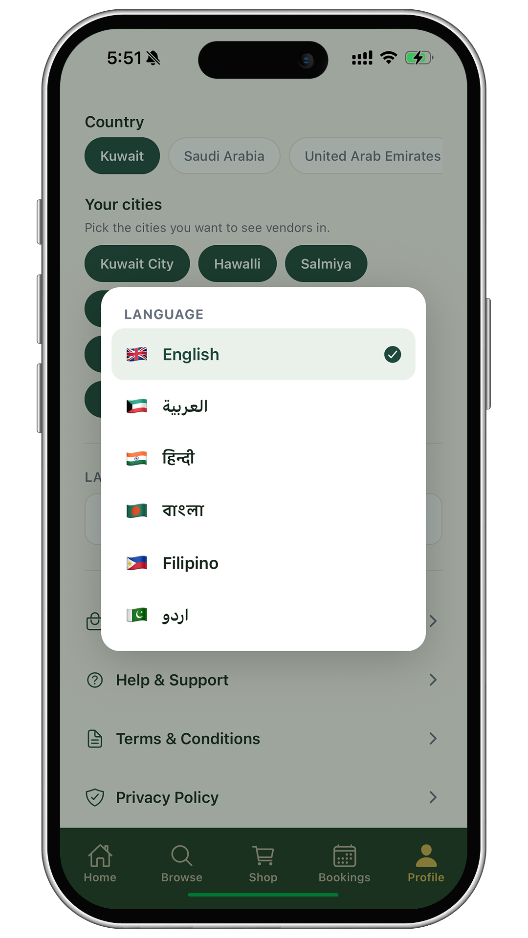 Choosing your language